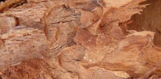 Co się najlepiej wynajmuje?