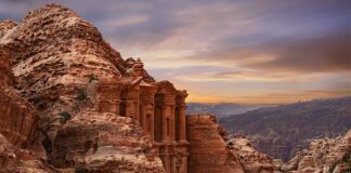 Czy AdBlue można podlewać rośliny?