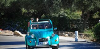 Jaka paca zębata do płytek 60x60?