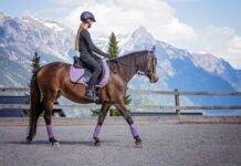 Czym można jeździć bez prawa jazdy?