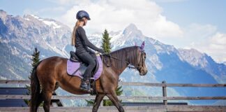 Czym można jeździć bez prawa jazdy?