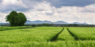 Czy jest obowiązek zmiany opon na zimowe w Niemczech?