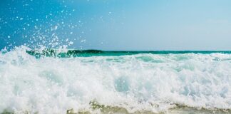 Po co rozbijać kotlety?