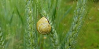Czym uszczelnić miskę olejową?