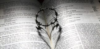 Czy AdBlue wypali trawę?