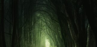 Co oznacza zielony samochód?