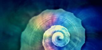 Na co Skręcać meble?