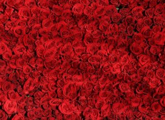 Czym się różni Barometr od manometru?