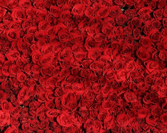 Czym się różni Barometr od manometru?