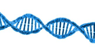 Czy kwas z akumulatora niszczy lakier samochodowy?