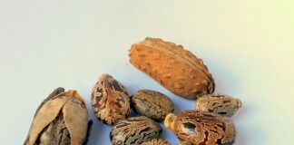 Czy można przejść z oleju 10W40 na 5W40 bez płukanki?