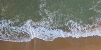 Jak ożywić kolor auta?