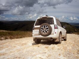 Co to znaczy Pajero po hiszpańsku?