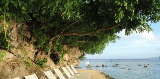 Czy w Polsce są salony Tesli?