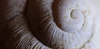 Czy można samemu nałożyć powłokę ceramiczna?