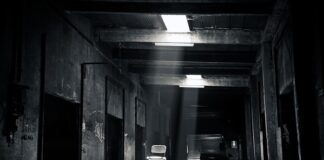 Gdzie znajduje się fabryka Tesli?