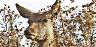 Kim jest Daniel Grzyb?