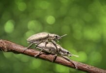 Jakie są podstawowe błędy pomiaru? Jakie są podstawowe błędy pomiaru?