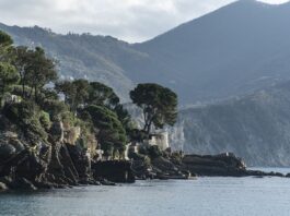 Ile kosztuje wymiana zbiornika AdBlue?