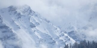 Ile kosztuje przegląd Tesli?