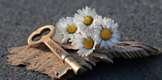 Jak otworzyć drzwi Skoda Octavia 1?