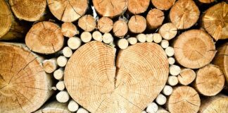 Z jakiego drewna robi się trzonki do młotków?