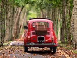 Jak odpalić auto bez immobilizera?