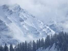 Czy auto przejdzie przegląd z kontrolka poduszki?