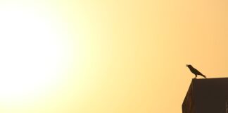 Co jest przyczyną nadmiernego zużycia środka bieżnika na całym obwodzie?